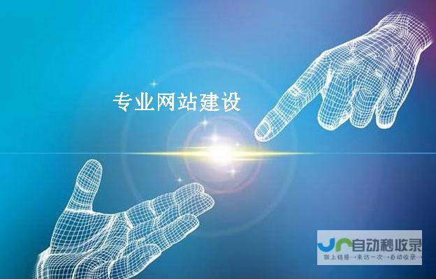 合肥网站优化